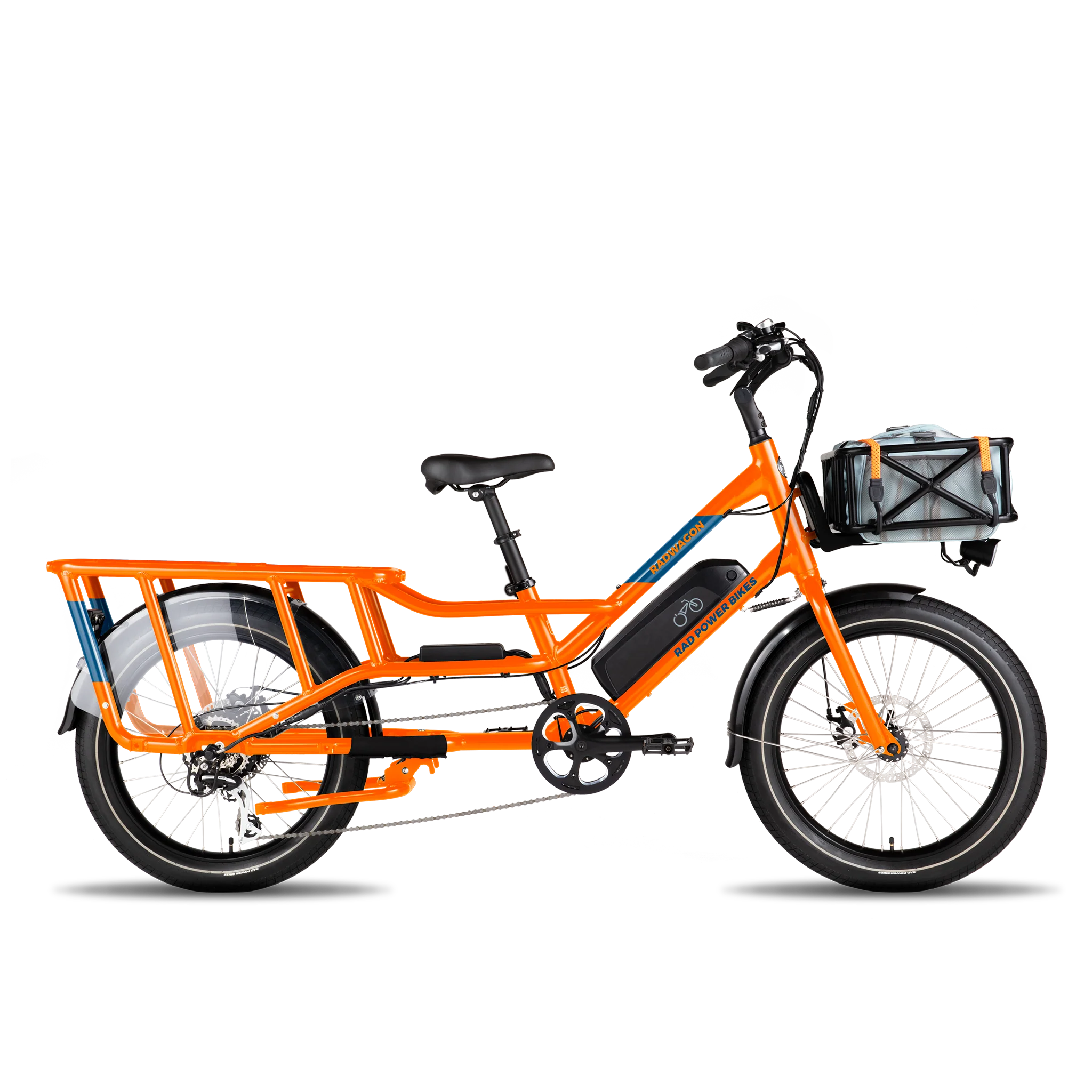 Cargo Straps - Image 5