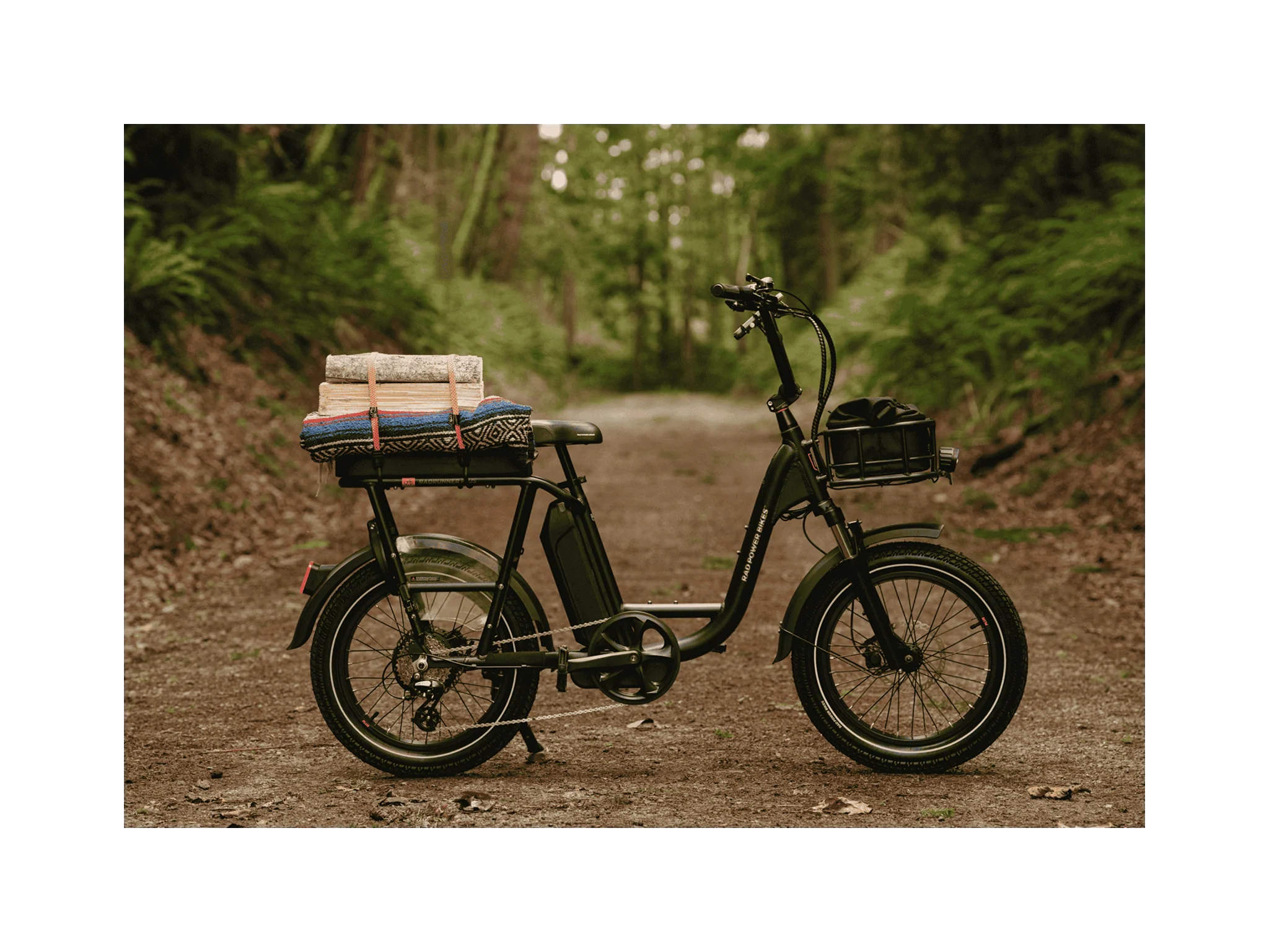 RadRunner™ Plus Electric Cargo Utility Bike - Image 10